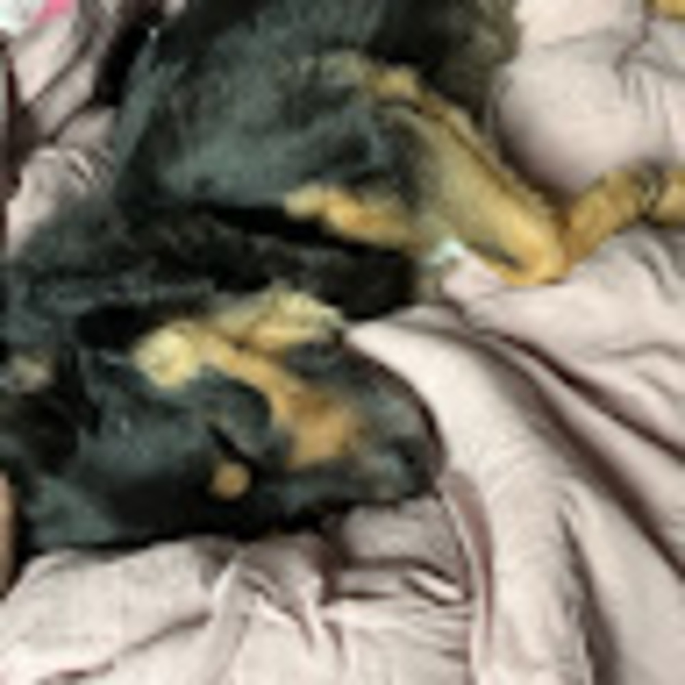 Meet your Posher, Sage